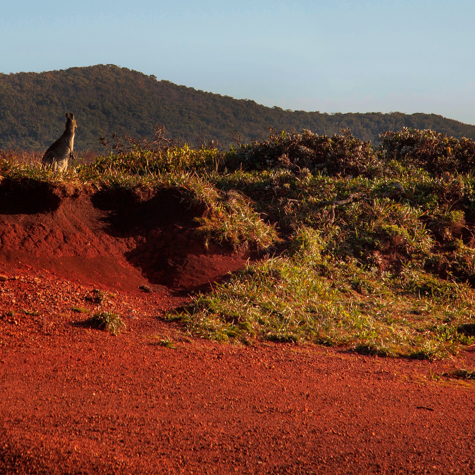 MOTHER TONGUE: TALES FROM HOME WITH EMILY WURRAMARA