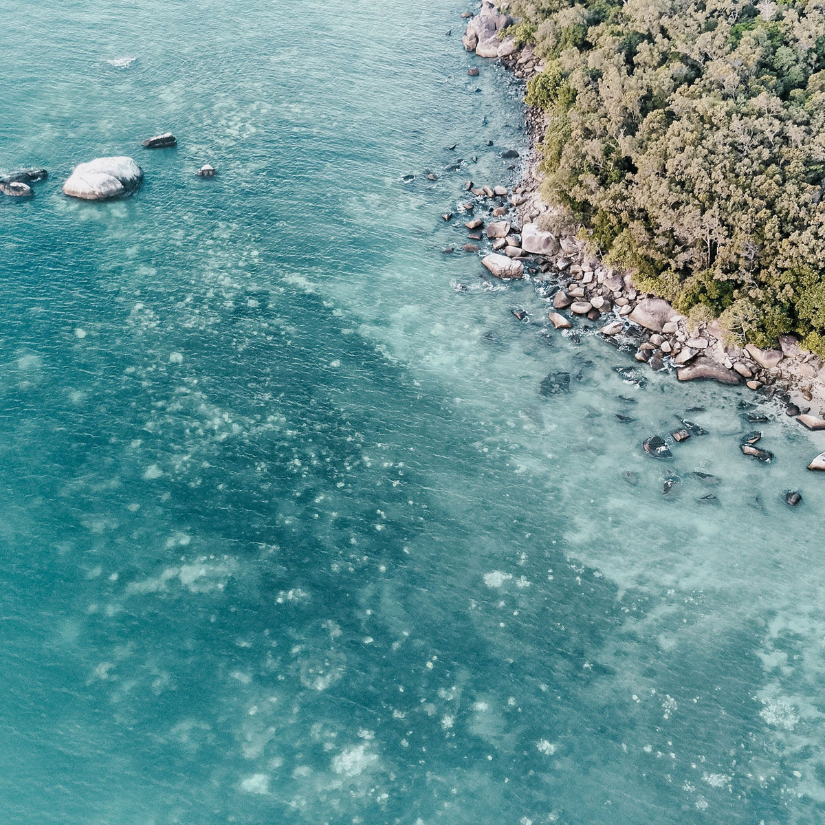 FIGHT FOR OUR REEF: TALKS WITH AMCS
