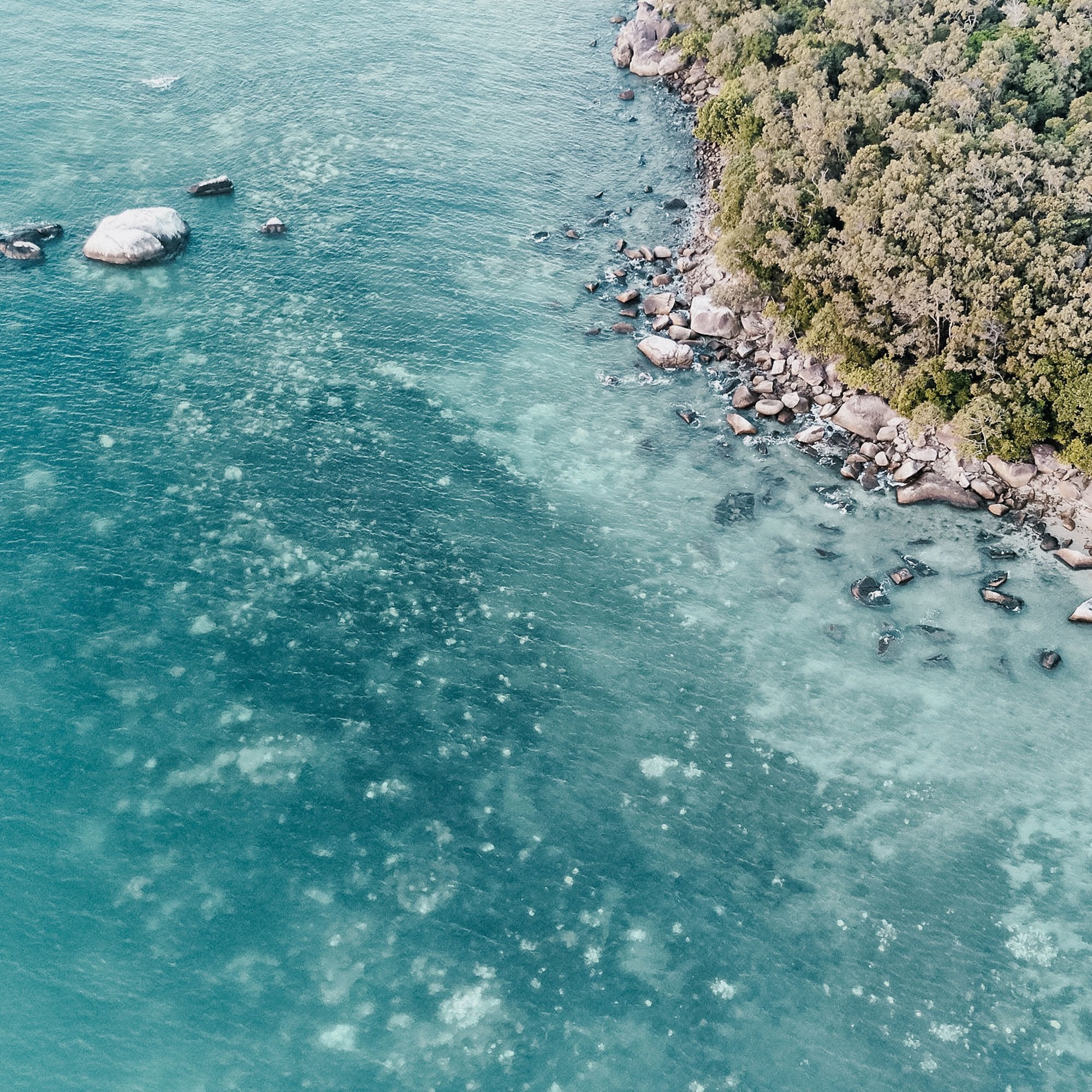 FIGHT FOR OUR REEF: TALKS WITH AMCS