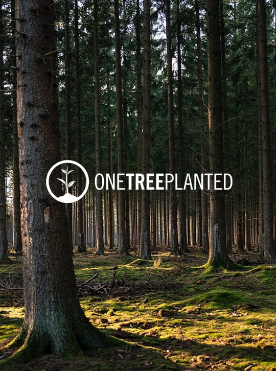 Our Eco Friendly Vision