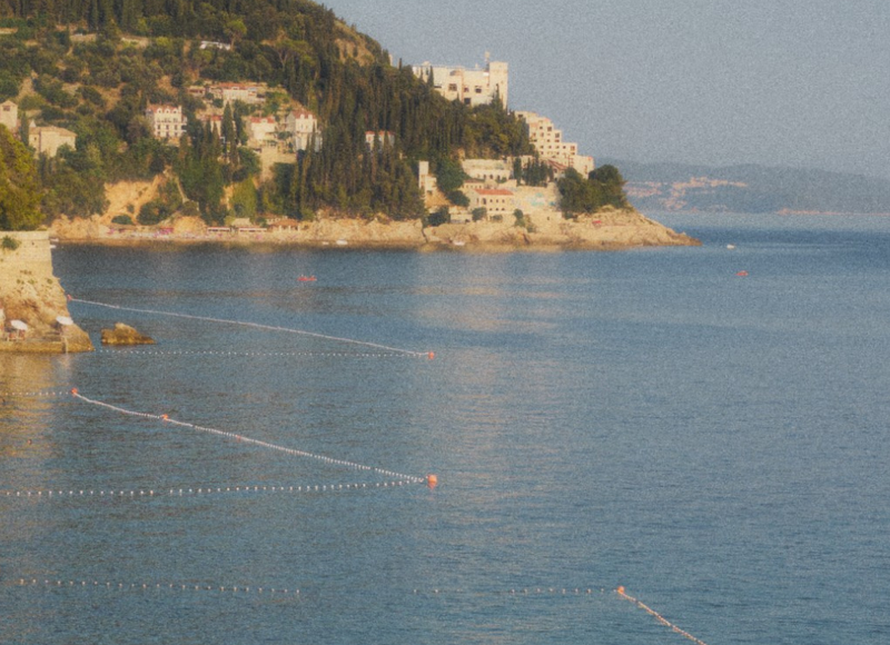 Our Eco Friendly Vision